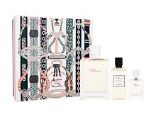 Eau de Parfum Hermes Terre d´Hermès Eau Givrée 100 ml Sets