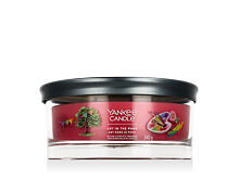 Duftkerze Yankee Candle Signature Art in the Park 340 g