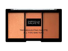 Illuminante Gabriella Salvete Trio Highlighting Palette 15 g