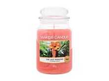 Bougie parfumée Yankee Candle The Last Paradise 623 g