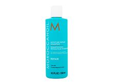 Shampooing Moroccanoil Repair 250 ml