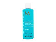 Shampoo Moroccanoil Repair Duo 500 ml Sets