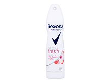 Antiperspirant Rexona MotionSense Stay Fresh Blue Poppy & Apple 150 ml