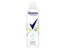 Antitraspirante Rexona MotionSense Stay Fresh Blue Poppy & Apple 150 ml