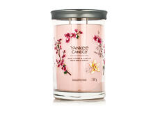 Duftkerze Yankee Candle Signature Pink Cherry & Vanilla Tumbler 567 g
