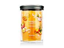 Candela profumata Yankee Candle Signature Mango Ice Cream 567 g