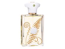 Eau de Parfum Amouage Bracken Man 100 ml