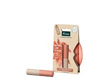 Lippenbalsam Kneipp Natural Care & Color 3,5 g Natural Red