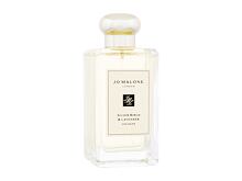 Acqua di colonia Jo Malone Lavenderland Collection Silver Birch & Lavender 100 ml