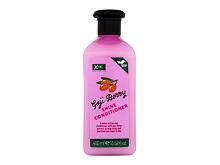  Après-shampooing Xpel Goji Berry Shine Conditioner 400 ml