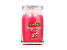 Duftkerze Yankee Candle Signature Art in the Park 567 g