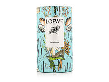 Eau de Toilette Loewe Paula's Ibiza 50 ml