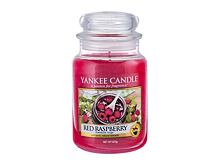 Candela profumata Yankee Candle Red Raspberry 411 g