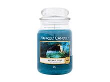 Bougie parfumée Yankee Candle Moonlit Cove 49 g