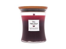 Duftkerze WoodWick Trilogy Sun Ripened Berries 275 g