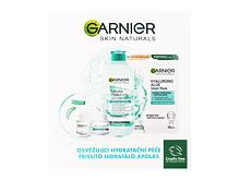 Tagescreme Garnier Skin Naturals Hyaluronic Aloe 50 ml Sets