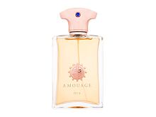 Eau de parfum Amouage Dia pour Homme 100 ml