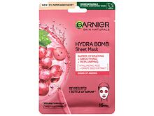 Maschera per il viso Garnier Skin Naturals Hydra Bomb Natural Origin Grape Seed Extract 1 St.