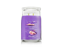 Bougie parfumée Yankee Candle Signature Stargazing 567 g