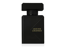 Haar Nebel Initio Oud For Greatness 50 ml