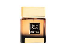 Eau de Parfum Flavia Parfum Dominant Collections Amber Elixir 100 ml