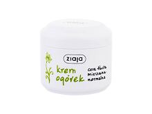 Crema giorno per il viso Ziaja Cucumber 100 ml