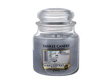 Bougie parfumée Yankee Candle A Calm & Quiet Place 49 g