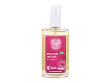 Deodorante Weleda Wild Rose 100 ml