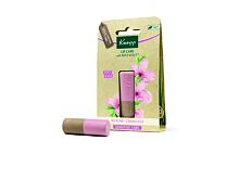 Baume à lèvres Kneipp Lip Care Almond & Candelilla 4,7 g