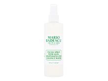 Tonici e spray Mario Badescu Facial Spray Aloe, Adaptogens and Coconut Water 59 ml