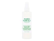 Gesichtswasser und Spray Mario Badescu Facial Spray Aloe, Adaptogens and Coconut Water 236 ml