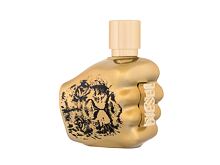 Eau de Parfum Diesel Spirit Of The Brave Intense 50 ml