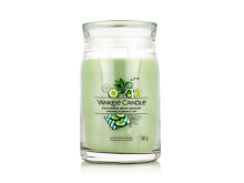 Duftkerze Yankee Candle Signature Cucumber Mint Cooler 567 g