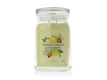 Duftkerze Yankee Candle Signature Iced Berry Lemonade 567 g