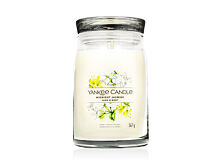 Duftkerze Yankee Candle Signature Midnight Jasmine 567 g