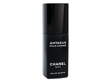 Eau de Toilette Chanel Antaeus Pour Homme 100 ml Tester