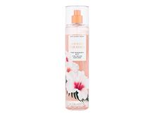 Spray per il corpo Bath & Body Works Hibiscus Paradise 236 ml