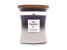 Duftkerze WoodWick Trilogy Amethyst Sky 275 g