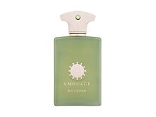 Eau de Parfum Amouage Meander 100 ml