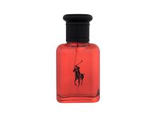 Eau de Toilette Ralph Lauren Polo Red 40 ml