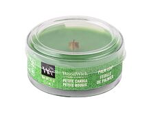 Bougie parfumée WoodWick Palm Leaf 31 g