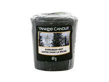 Duftkerze Yankee Candle Evergreen Mist 49 g
