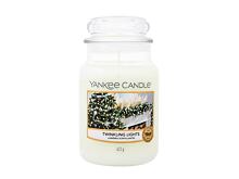 Duftkerze Yankee Candle Twinkling Lights 37 g Sets