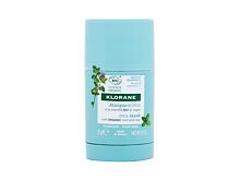 Masque visage Klorane Aquatic Mint Stick Mask 25 g