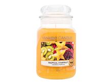 Bougie parfumée Yankee Candle Tropical Starfruit 411 g