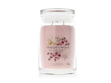 Duftkerze Yankee Candle Signature Pink Cherry & Vanilla Tumbler 567 g