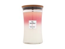 Duftkerze WoodWick Trilogy Blooming Orchard 610 g