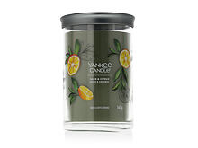 Bougie parfumée Yankee Candle Signature Sage & Citrus 567 g