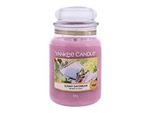 Bougie parfumée Yankee Candle Sunny Daydream 49 g