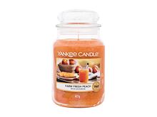 Candela profumata Yankee Candle Farm Fresh Peach 623 g